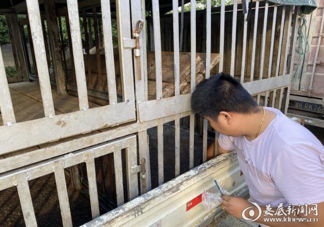 双峰县畜牧水产事务中心召开生猪运输车辆备案人员会议